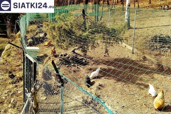 Siatki Nisko - Siatka na woliery - zabezpieczenia ptaków w hodowli dla terenów Miasta Nisko