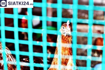 Siatki Nisko - Siatka na woliery - zabezpieczenia ptaków w hodowli dla terenów Miasta Nisko